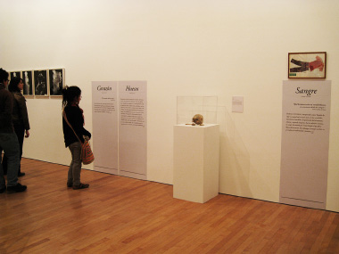 Texto de sala
